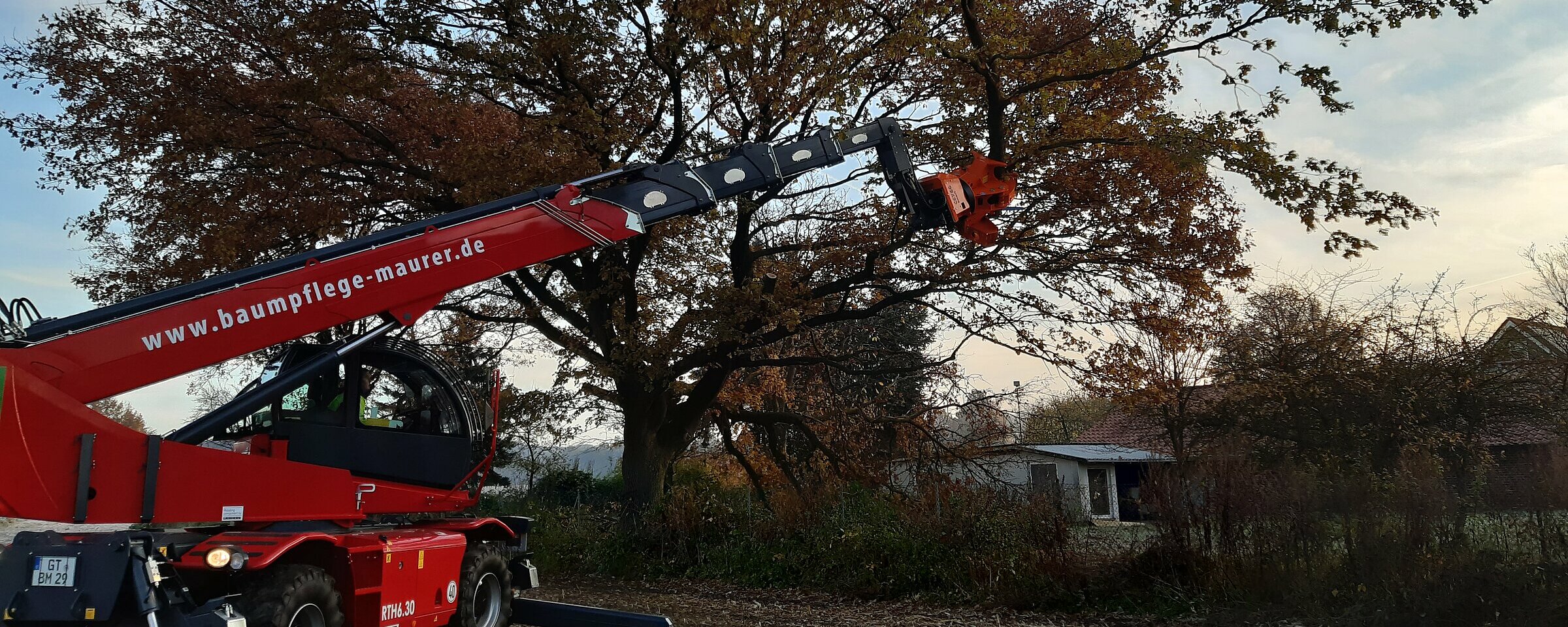 Über Baumpflege Maurer