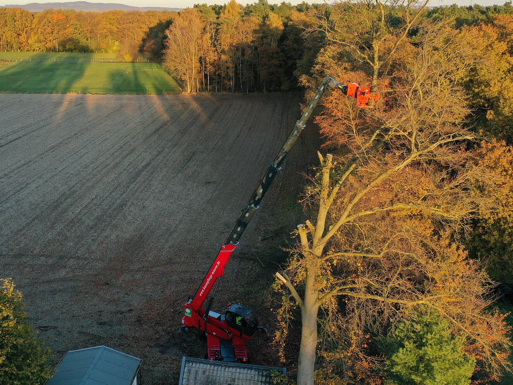 Maschinen für den Forstbetrieb, Fällkran und andere