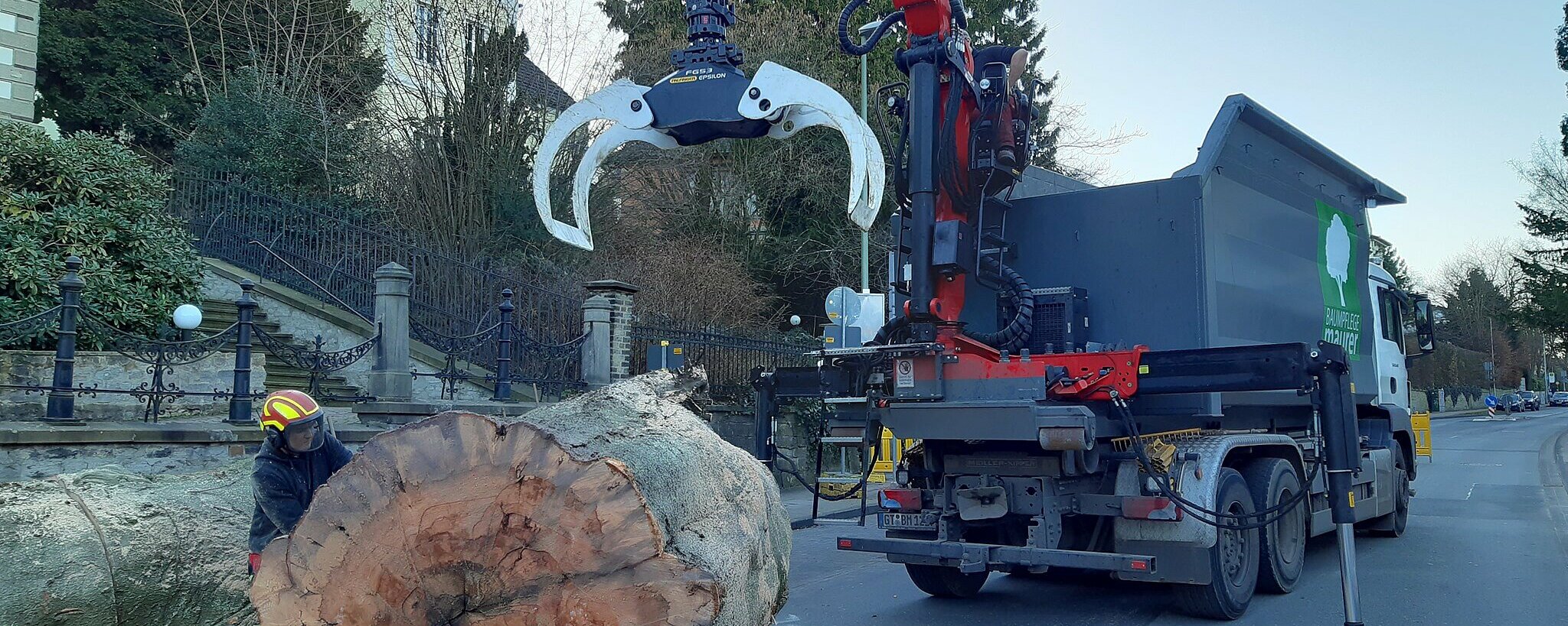 Baumfällung, Baumpflege und Forstarbeiten