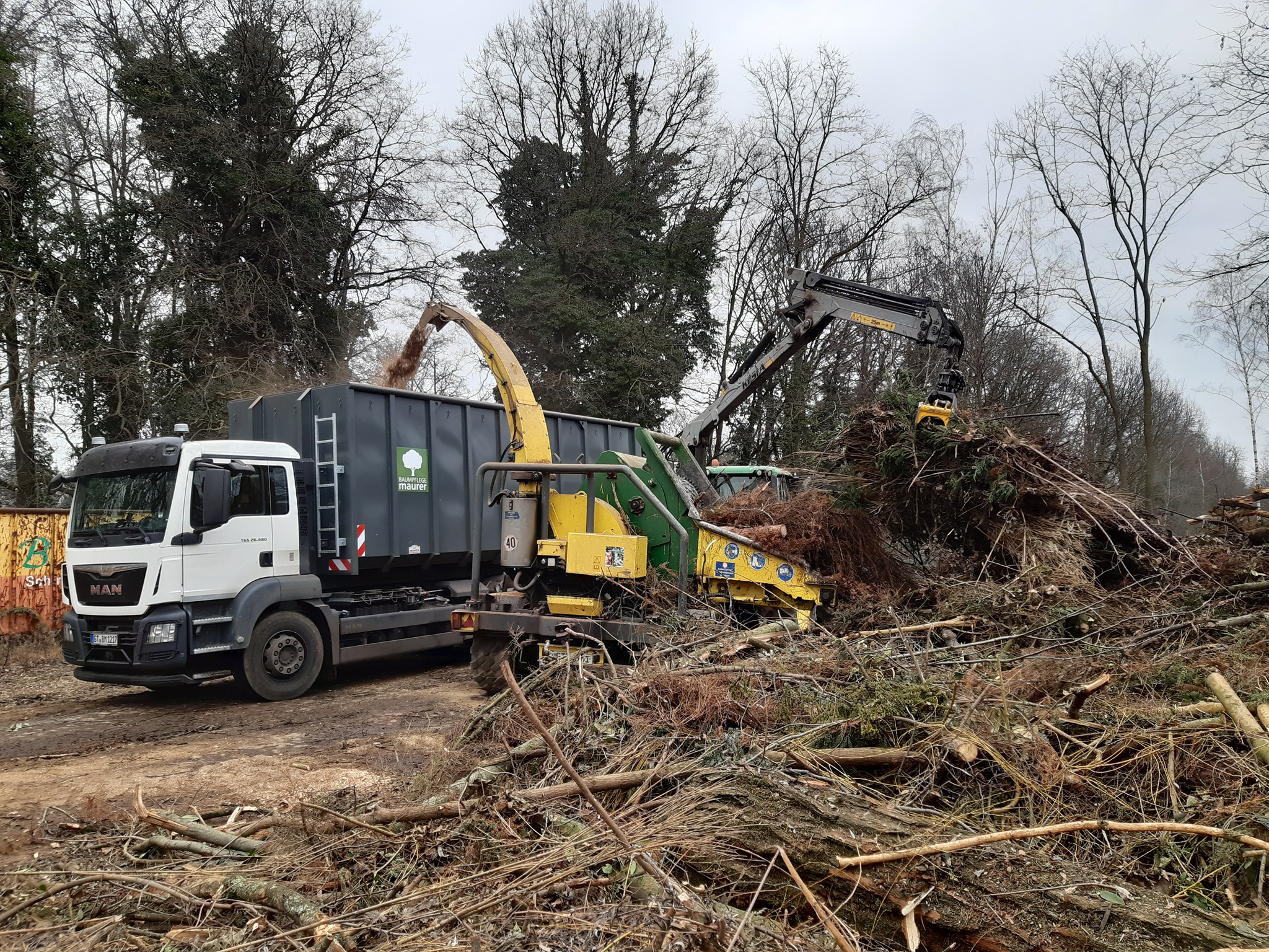 Häckseln von Astwerk und Stammholz